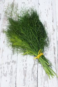 Essential Oil - Fennel Organic (Spain) 12 ml, 36 ml or 50 ml